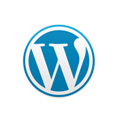 WordPress Performance Web Hosting